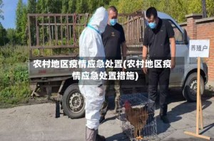农村地区疫情应急处置(农村地区疫情应急处置措施)