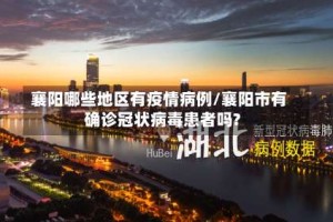 襄阳哪些地区有疫情病例/襄阳市有确诊冠状病毒患者吗?