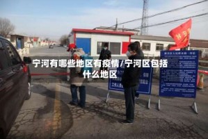 宁河有哪些地区有疫情/宁河区包括什么地区
