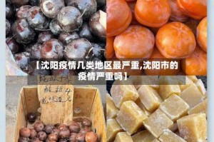 【沈阳疫情几类地区最严重,沈阳市的疫情严重吗】