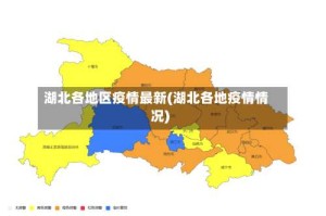 湖北各地区疫情最新(湖北各地疫情情况)