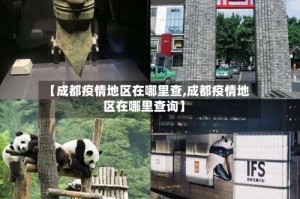 【成都疫情地区在哪里查,成都疫情地区在哪里查询】