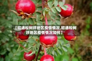 【昭通松树坪地区疫情情况,昭通松树坪地区疫情情况如何】