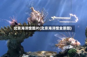 北京海洋馆图片(北京海洋馆全景图)