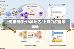 上海疫情划分b类地区/上海的疫情等级是