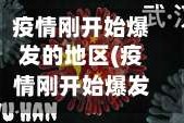 疫情刚开始爆发的地区(疫情刚开始爆发的时候是几月几日)