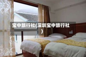 宝中旅行社(深圳宝中旅行社)