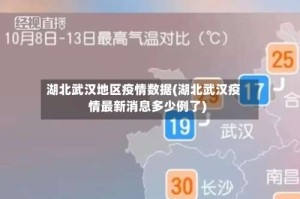 湖北武汉地区疫情数据(湖北武汉疫情最新消息多少例了)
