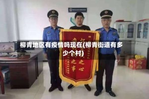 柳青地区有疫情吗现在(柳青街道有多少个村)