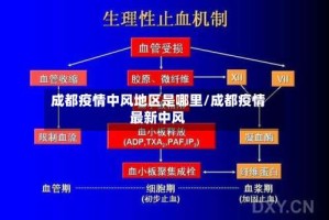 成都疫情中风地区是哪里/成都疫情最新中风