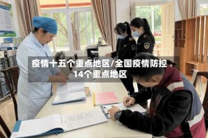 疫情十五个重点地区/全国疫情防控14个重点地区