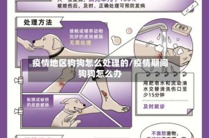 疫情地区狗狗怎么处理的/疫情期间狗狗怎么办