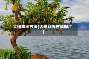 大理双廊古镇(大理双廊古镇图片)