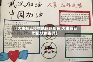 【大丰有无疫情地区吗现在,大丰有新型冠状病毒吗】