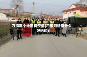 刁镇哪个地区有疫情(刁镇附近有什么好玩的)