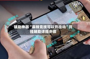 辅助神器“麻辣竞技可以开挂吗”开挂辅助详细步骤
