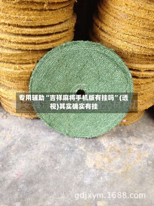 专用辅助“吉祥麻将手机版有挂吗”(透视)其实确实有挂-第2张图片