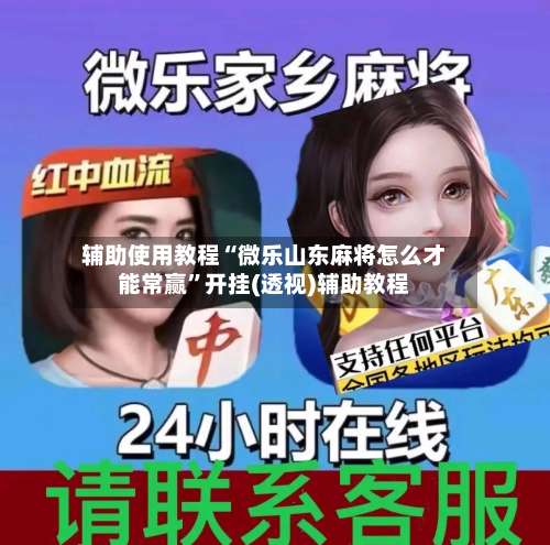 辅助使用教程“微乐山东麻将怎么才能常赢”开挂(透视)辅助教程-第1张图片
