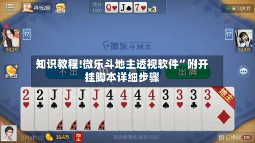 知识教程!微乐斗地主透视软件”附开挂脚本详细步骤-第1张图片
