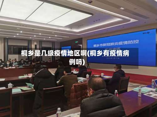 桐乡是几级疫情地区啊(桐乡有疫情病例吗)-第2张图片