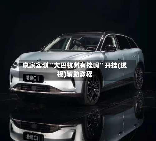 赢家实测“大巴杭州有挂吗”开挂(透视)辅助教程-第2张图片