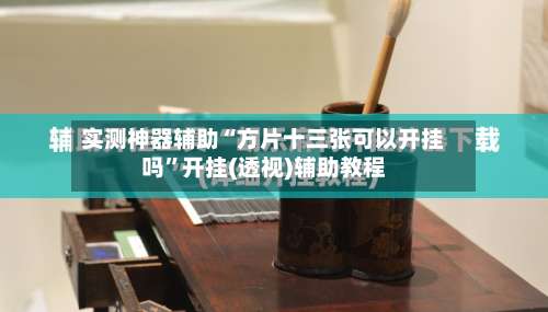 实测神器辅助“方片十三张可以开挂吗”开挂(透视)辅助教程-第3张图片