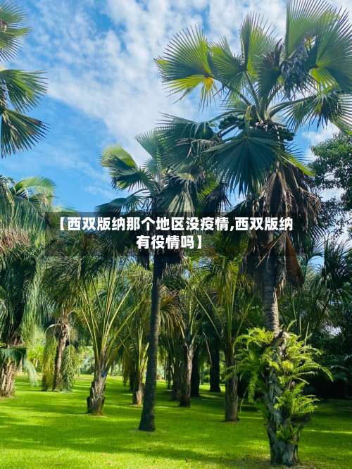 【西双版纳那个地区没疫情,西双版纳有役情吗】-第1张图片