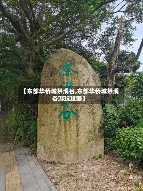 【东部华侨城茶溪谷,东部华侨城茶溪谷游玩攻略】-第2张图片