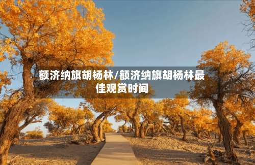 额济纳旗胡杨林/额济纳旗胡杨林最佳观赏时间-第2张图片
