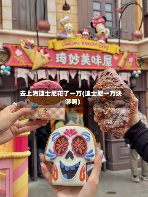 去上海迪士尼花了一万(迪士尼一万块够吗)-第2张图片