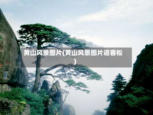 黄山风景图片(黄山风景图片迎客松)-第1张图片
