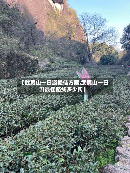 【武夷山一日游最佳方案,武夷山一日游最佳路线多少钱】-第3张图片