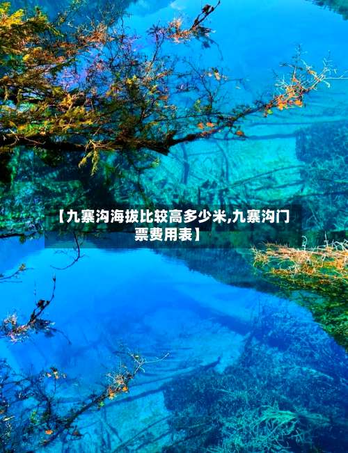【九寨沟海拔比较高多少米,九寨沟门票费用表】-第1张图片