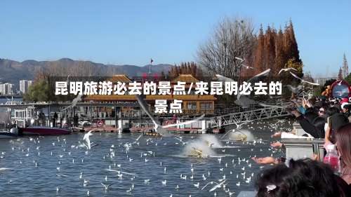 昆明旅游必去的景点/来昆明必去的景点-第2张图片