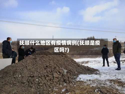 抚顺什么地区有疫情病例(抚顺是疫区吗?)-第3张图片