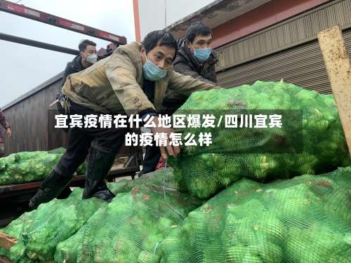 宜宾疫情在什么地区爆发/四川宜宾的疫情怎么样-第1张图片