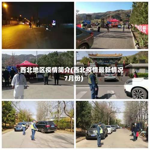 西北地区疫情简介(西北疫情最新情况7月份)-第2张图片
