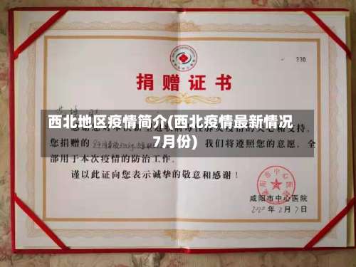 西北地区疫情简介(西北疫情最新情况7月份)-第3张图片