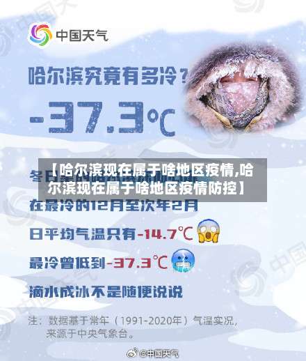 【哈尔滨现在属于啥地区疫情,哈尔滨现在属于啥地区疫情防控】-第3张图片