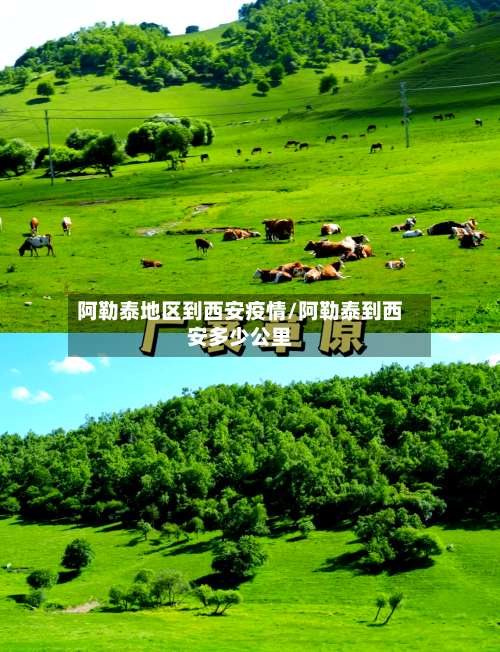 阿勒泰地区到西安疫情/阿勒泰到西安多少公里-第2张图片