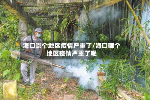 海口哪个地区疫情严重了/海口哪个地区疫情严重了呢-第1张图片