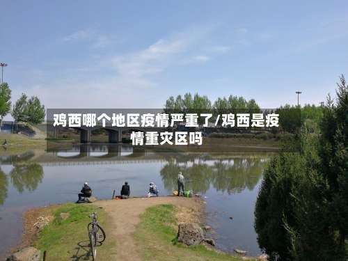 鸡西哪个地区疫情严重了/鸡西是疫情重灾区吗-第2张图片