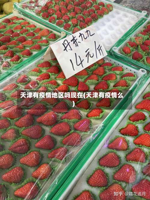 天津有疫情地区吗现在(天津有疫情么)-第1张图片