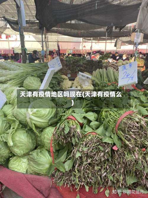 天津有疫情地区吗现在(天津有疫情么)-第2张图片