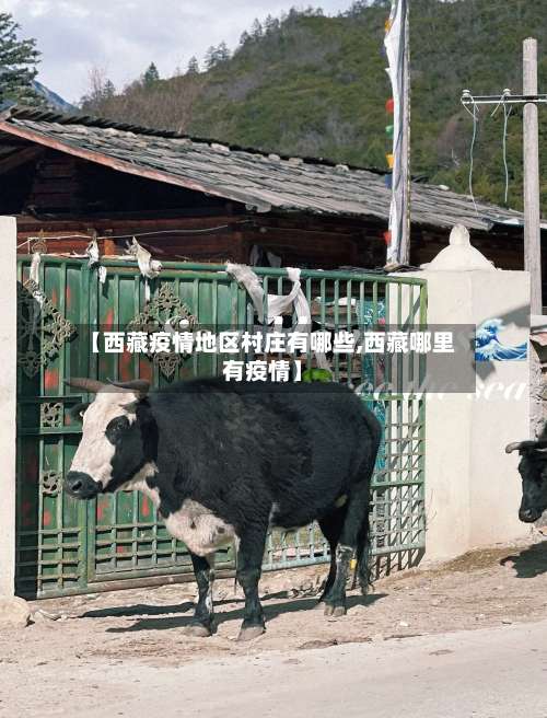 【西藏疫情地区村庄有哪些,西藏哪里有疫情】-第3张图片
