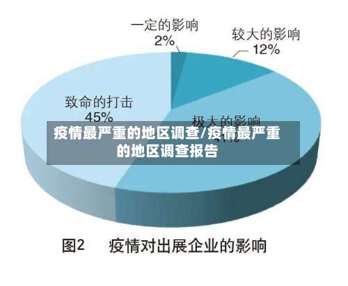 疫情最严重的地区调查/疫情最严重的地区调查报告-第2张图片