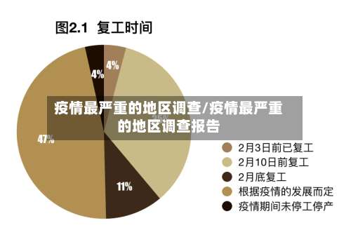 疫情最严重的地区调查/疫情最严重的地区调查报告-第3张图片
