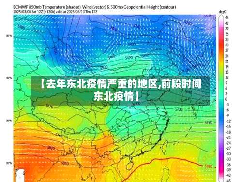【去年东北疫情严重的地区,前段时间东北疫情】-第2张图片