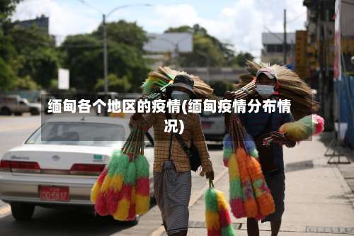 缅甸各个地区的疫情(缅甸疫情分布情况)-第1张图片