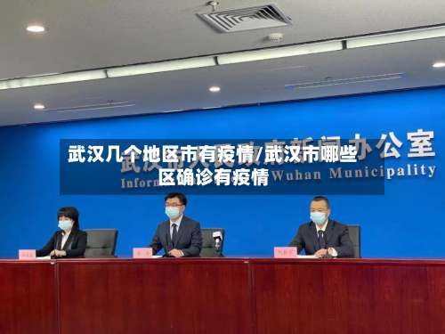 武汉几个地区市有疫情/武汉市哪些区确诊有疫情-第1张图片
